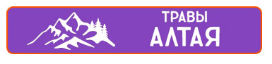 Травы Алтая