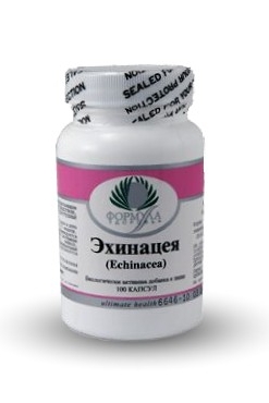 Эхинацея