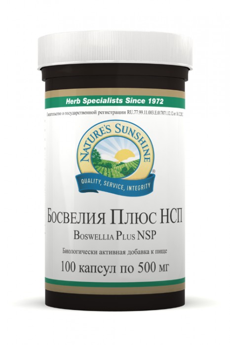 Босвелия плюс НСП