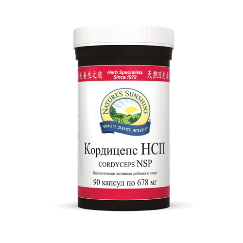 Кордицепс