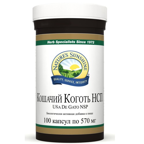 Кошачий коготь