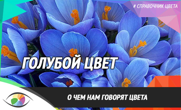 Голубой цвет