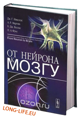 Джон Г. Николлс, А. Роберт Мартин, Брюс Дж. Валлас, Пол А. Фукс. От нейрона к мозгу